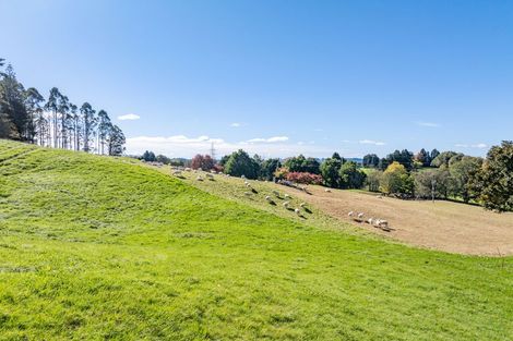 Photo of property in 151 Tarukenga Road, Ngongotaha Valley, Rotorua, 3072