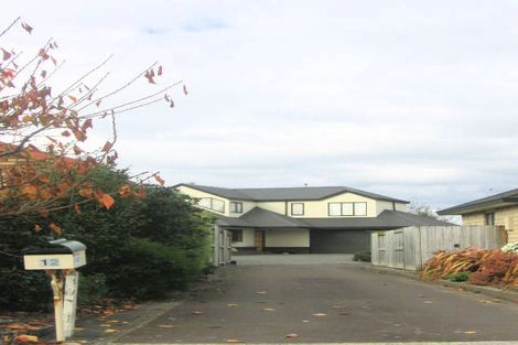 Photo of property in 12 Rothesay Place, Highbury, Palmerston North, 4412