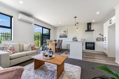 Photo of property in 5u6 Arawa Street, Frankton, Hamilton, 3204