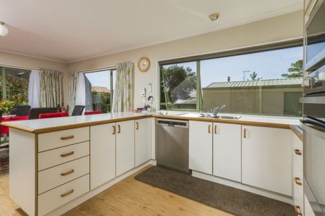 Photo of property in 17 Idesia Grove, Richmond, 7020