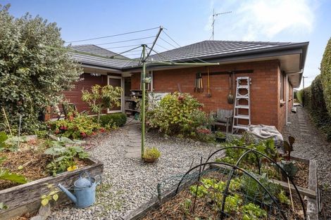Photo of property in 49a George Street, Blenheim, 7201
