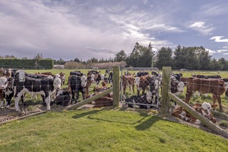 Photo of property in 201 Hollands Road, Tinwald, Ashburton, 7771