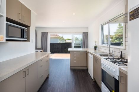 Photo of property in 80 Dillon Street, Blenheim, 7201