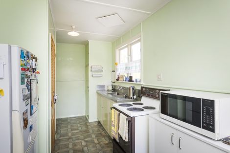 Photo of property in 28 Humber Street, Roslyn, Palmerston North, 4414