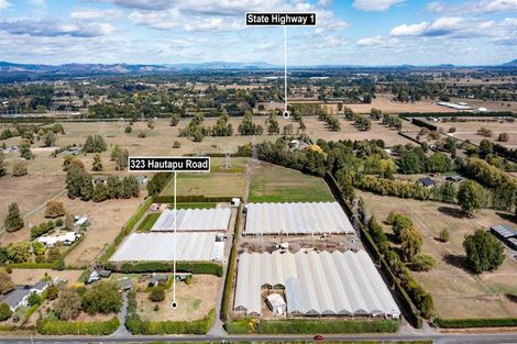Photo of property in 323 Hautapu Road, Tamahere, Cambridge, 3493