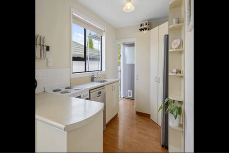 Photo of property in 41 Halliwell Avenue, Papanui, Christchurch, 8052