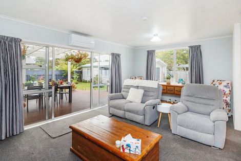 Photo of property in 145 Stanford Street North, Ashhurst, 4810