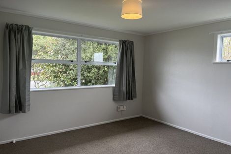 Photo of property in 18 Mersey Street, Levin, 5510