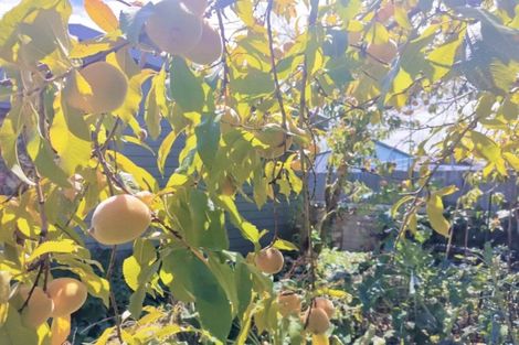 Photo of property in 11 Jellicoe Avenue, Wairoa, 4108