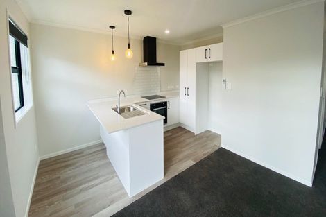 Photo of property in 5u2 Arawa Street, Frankton, Hamilton, 3204