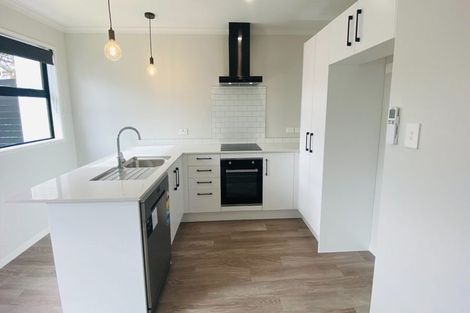 Photo of property in 5u2 Arawa Street, Frankton, Hamilton, 3204