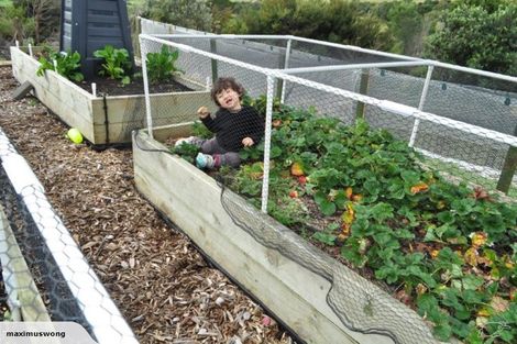 Photo of property in 17 Harbour Lights Terrace, Whitianga, 3592