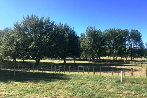 Photo of property in 202 Tapairu Road, Waipawa, 4275