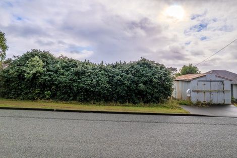 Photo of property in 137 Lagan Street, Bluff, 9814