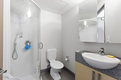 Photo of property in Dual Apartments, 306/142u Vivian Street, Te Aro, Wellington, 6011
