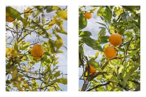 Photo of property in 46 Mcgarvey Road, Whakatane, 3120