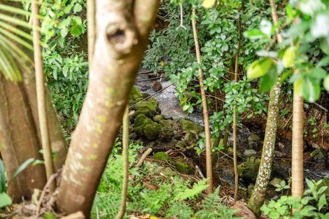 Photo of property in 17 Parkland Crescent, Te Kamo, Whangarei, 0112