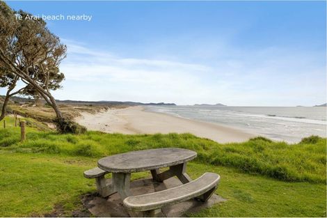 Photo of property in 238 Te Arai Point Road, Te Arai, Wellsford, 0975