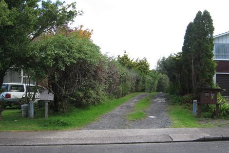 Photo of property in 56 Kingdale Road, Henderson, Auckland, 0610