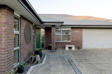 Photo of property in 211a Vogel Street, Roslyn, Palmerston North, 4414