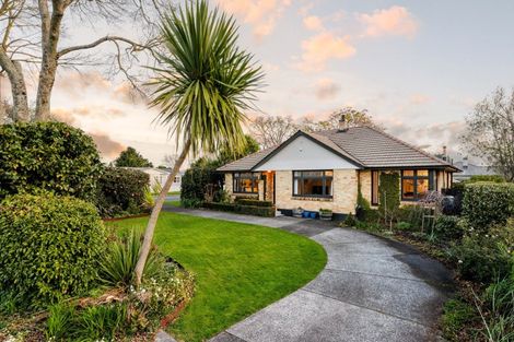 Photo of property in 27 Nixon Street, Hamilton East, Hamilton, 3216