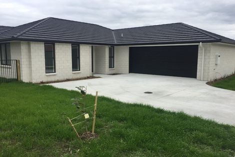 Photo of property in 10d2 Clive Road, Katikati, 3129