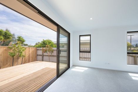 Photo of property in 15a Lowry Street, Richmond, 7020