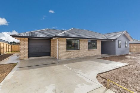 Photo of property in 93 Fairfield Road, Levin, 5510