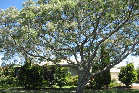 Photo of property in 5 Martin Road, Outer Kaiti, Gisborne, 4010