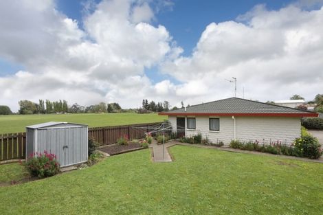 Photo of property in 14 Oaklea Avenue, Marton, 4710