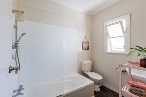 Photo of property in 47a Limbrick Street, Terrace End, Palmerston North, 4410