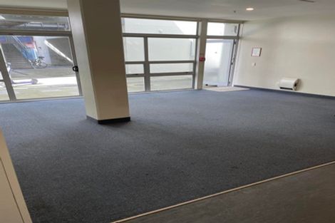 Photo of property in Hanson House, 27u2 Hanson Street, Mount Cook, Wellington, 6021