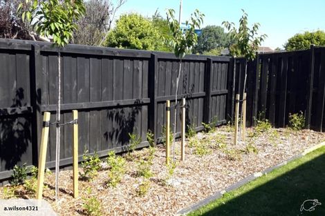 Photo of property in 67 Nortons Road, Avonhead, Christchurch, 8042