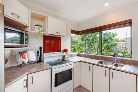 Photo of property in 21 Tudor Grove, Feilding, 4702