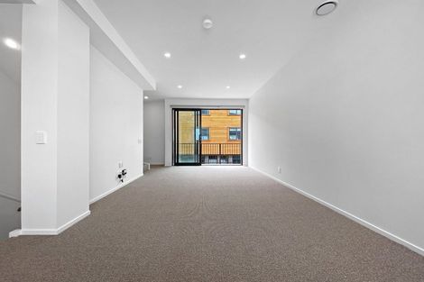 Photo of property in Aniva Terrace, 15 Arney Street, Newtown, Wellington, 6021