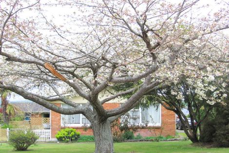 Photo of property in 14a Leslie Avenue, Western Heights, Rotorua, 3015