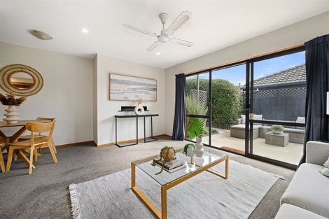 Photo of property in 107c Edinburgh Street, Spreydon, Christchurch, 8024