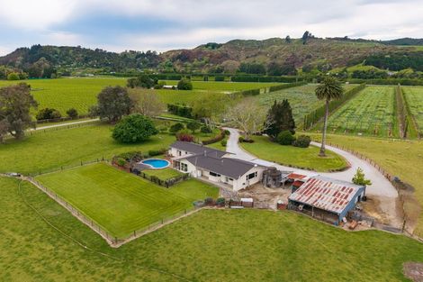 Photo of property in 33 Caesar Road, Ormond, Gisborne, 4071