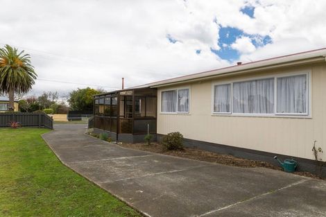 Photo of property in 69 Guy Street, Dannevirke, 4930