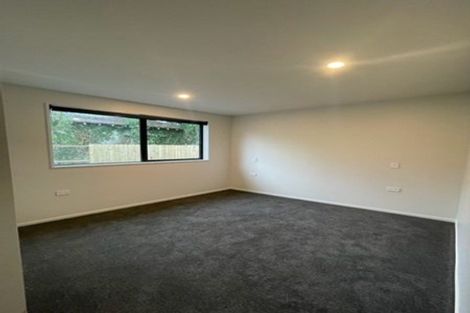 Photo of property in 45b Hillier Place, Spreydon, Christchurch, 8024