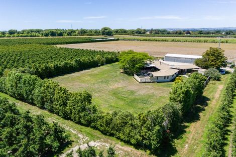 Photo of property in 16 Nicholl Road, Twyford, Hastings, 4175