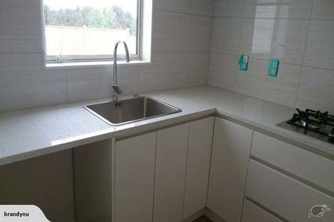 Photo of property in 17 Hangahai Road, Flat Bush, Auckland, 2019