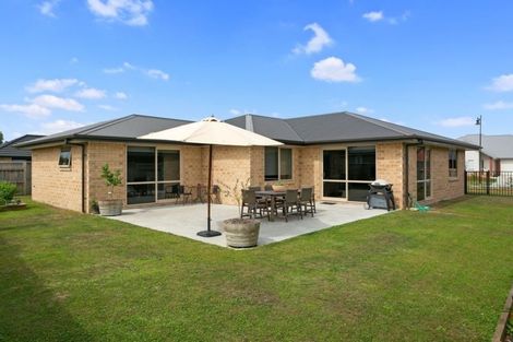 Photo of property in 6 Jarrett Terrace, Leamington, Cambridge, 3432