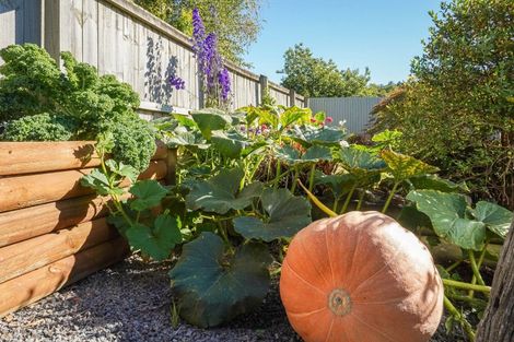 Photo of property in 7 Robinson Street, Cheviot, 7310