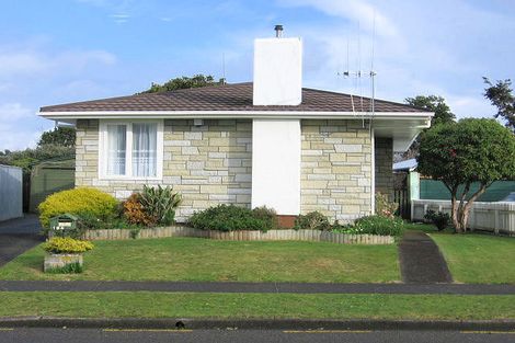 Photo of property in 134 Limbrick Street, Terrace End, Palmerston North, 4410