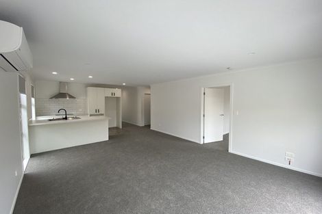 Photo of property in 45u3 Tranmere Road, Fairfield, Hamilton, 3214
