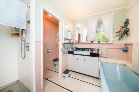 Photo of property in 145a Ruahine Street, Roslyn, Palmerston North, 4414