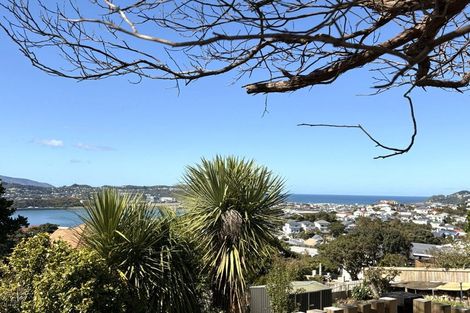 Photo of property in 55 Rakau Road, Hataitai, Wellington, 6021