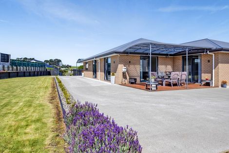 Photo of property in 22b Larlin Drive, Hawera, 4675