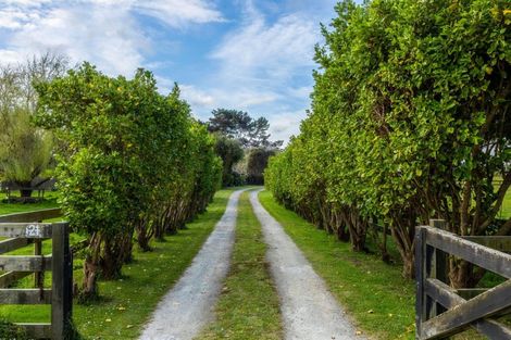 Photo of property in 21 Glenn Street, Castlecliff, Whanganui, 4501